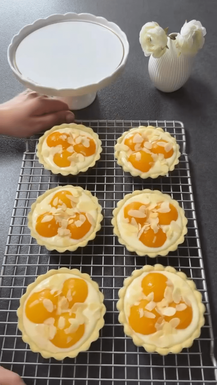 51a46679 cde7 49e1 8192 73d8310832cb