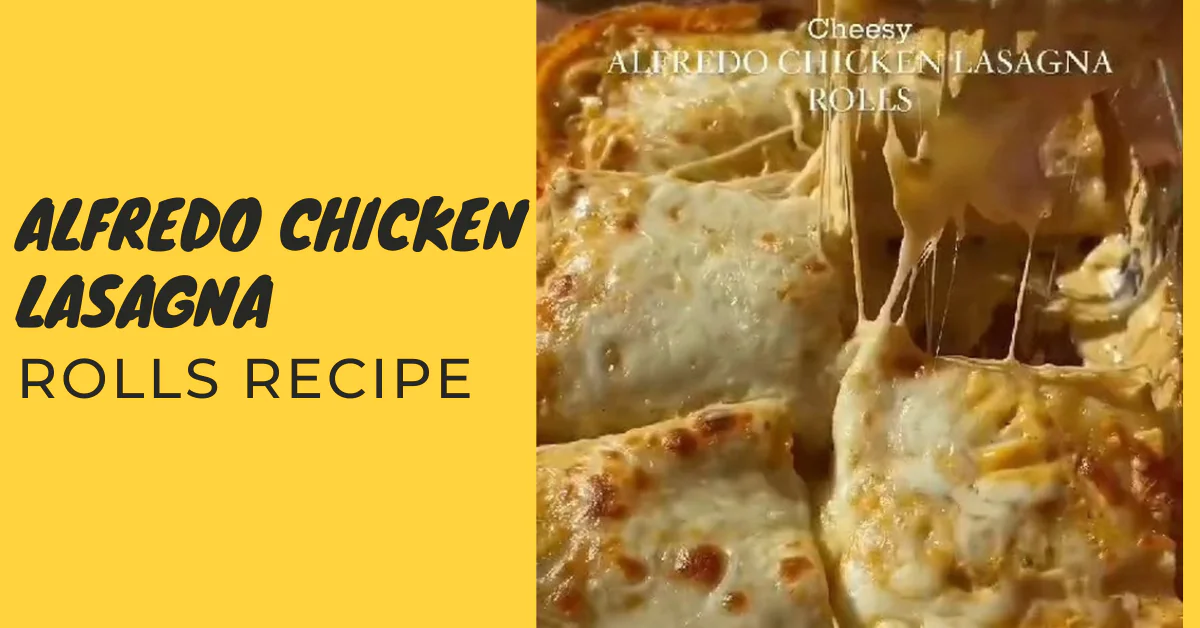 Alfredo Chicken Lasagna Rolls