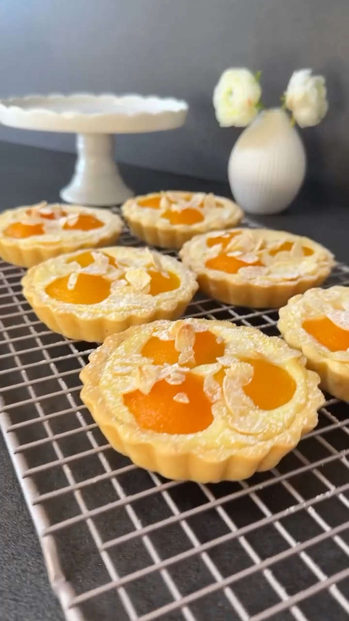 ad59db84 f327 46c8 8506 2e289066d13a